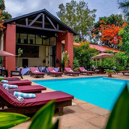 Hibiscus House Gambia Hotel Brufut Ngoại thất bức ảnh