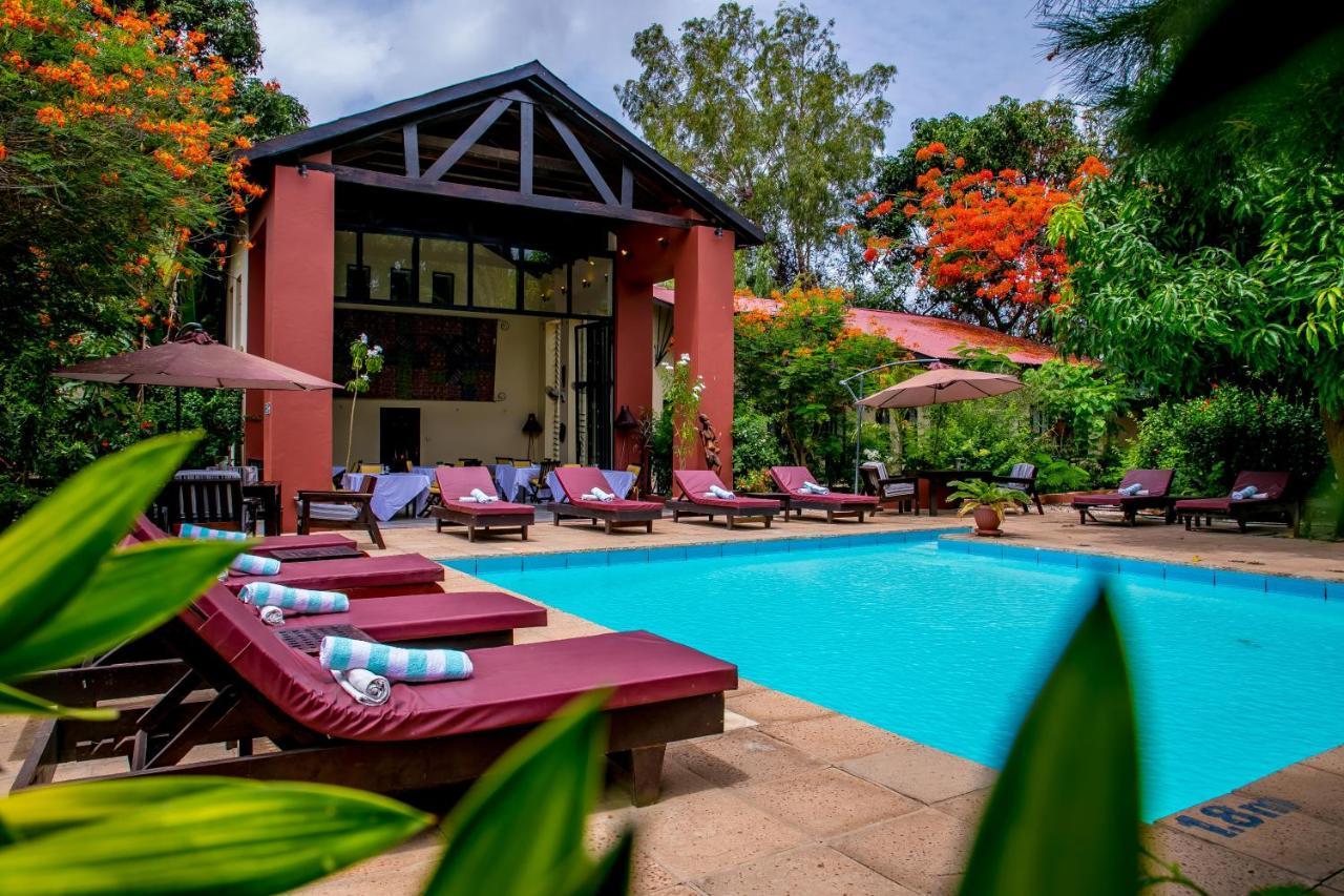 Hibiscus House Gambia Hotel Brufut Ngoại thất bức ảnh