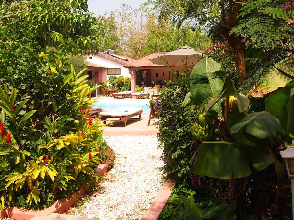 Hibiscus House Gambia Hotel Brufut Ngoại thất bức ảnh